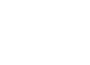WE inspire to become